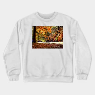 Trees In The Fall – Graphic 2 Crewneck Sweatshirt